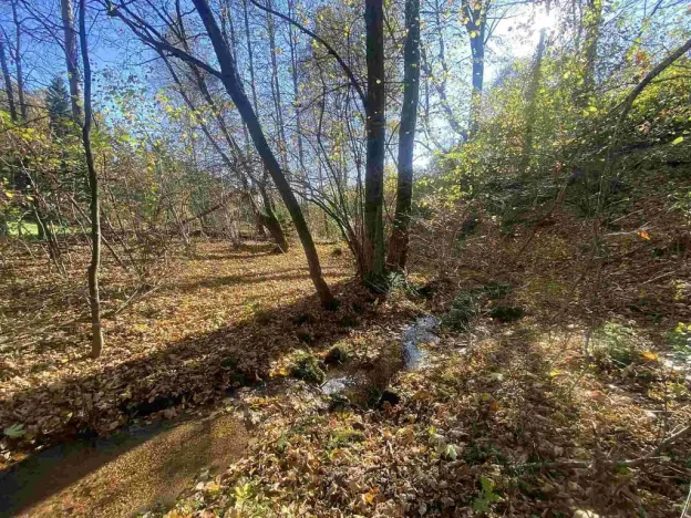 Prodej pozemku, Lučany nad Nisou - Jindřichov, 449 m2