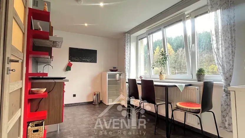 Pronájem bytu 1+1, Plavy, 45 m2