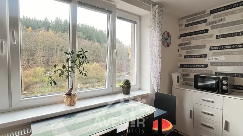 Pronájem bytu 1+1, Plavy, 45 m2