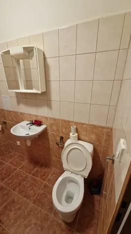 Pronájem bytu 2+kk, Teplice, Spojenecká, 45 m2