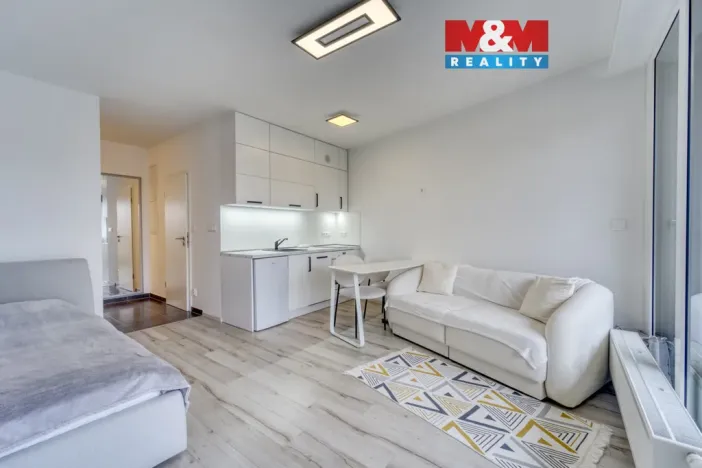 Prodej bytu 1+kk, Plzeň - Východní Předměstí, Slovanská, 39 m2