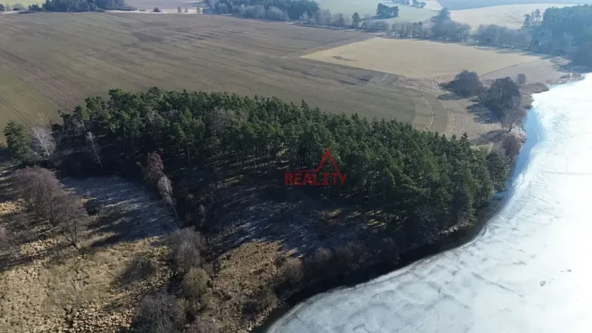 Prodej lesa, Čistá, 1294 m2