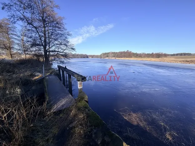 Prodej lesa, Čistá, 1294 m2