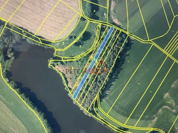 Prodej lesa, Čistá, 1294 m2