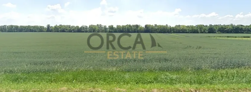 Prodej pole, Přítluky, 2963 m2