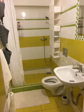 Prodej ubytování, Olomouc, Rejskova, 154 m2