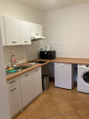 Prodej ubytování, Olomouc, Rejskova, 154 m2