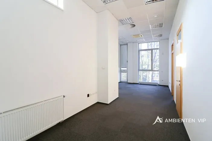 Pronájem kanceláře, Brno, 248 m2