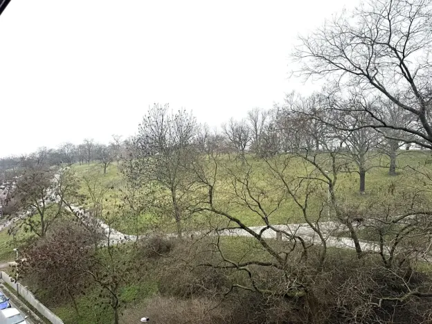 Pronájem bytu 1+kk, Praha - Žižkov, Kališnická, 40 m2