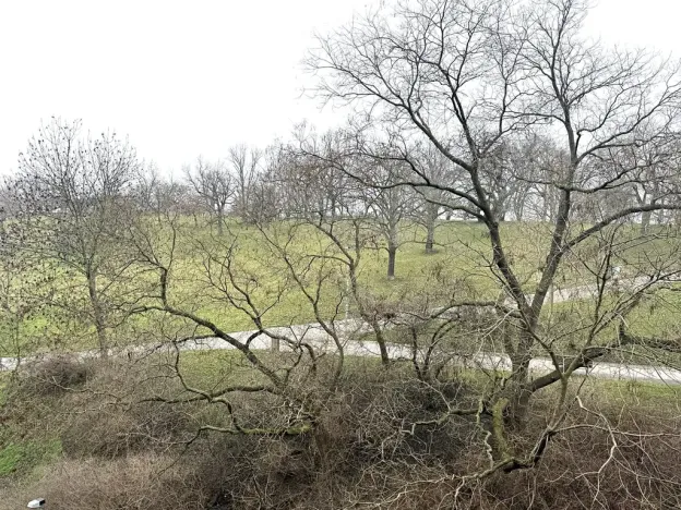 Pronájem bytu 1+kk, Praha - Žižkov, Kališnická, 40 m2