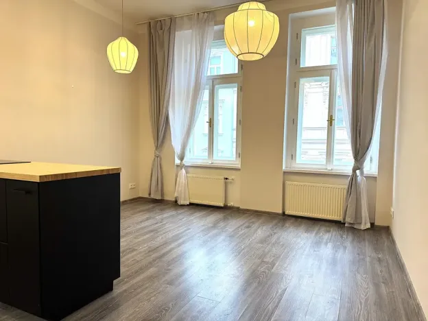 Pronájem bytu 2+kk, Praha - Žižkov, Blahníkova, 51 m2