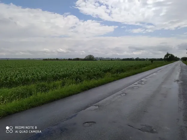 Prodej komerčního pozemku, Dolní Roveň, 13103 m2