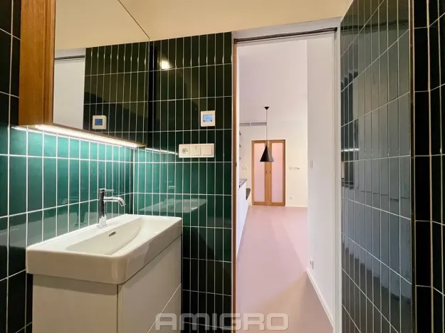 Pronájem bytu 1+kk, Brno, Peroutková, 25 m2