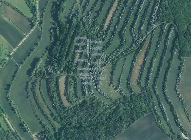 Prodej pole, Boleradice, 21964 m2