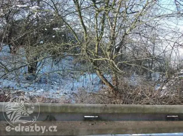 Dražba pozemku, Světec, 13949 m2