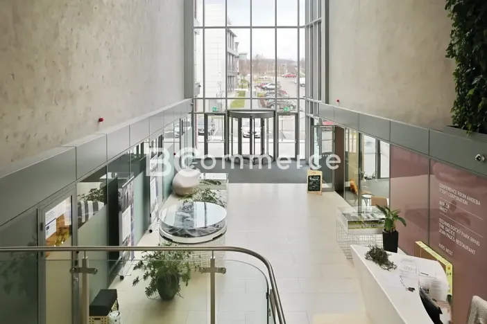 Pronájem kanceláře, Brno, 600 m2