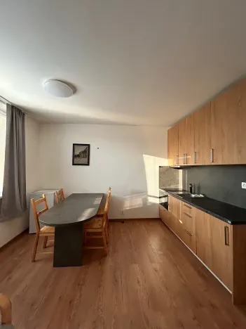 Pronájem bytu 1+1, Brno, Žitná, 35 m2