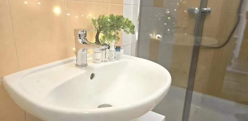 Pronájem bytu 1+kk, Brno - Zábrdovice, Tkalcovská, 32 m2