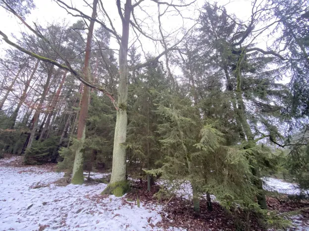 Prodej pozemku, Veliny, 180 m2