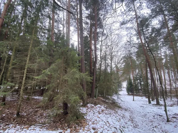 Prodej pozemku, Veliny, 180 m2