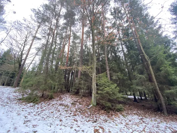 Prodej pozemku, Veliny, 180 m2