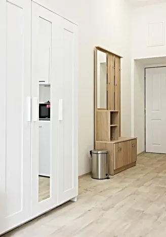 Pronájem bytu 1+kk, Brno, Koliště, 26 m2