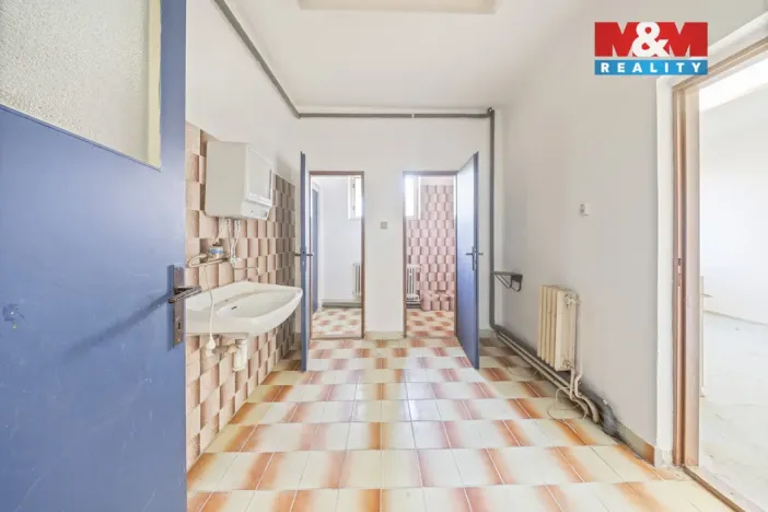 Prodej rodinného domu, Staré Město pod Landštejnem, 198 m2