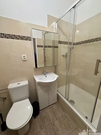 Pronájem bytu 1+1, Praha - Vinohrady, Řipská, 47 m2