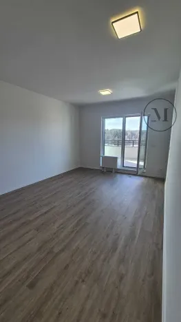 Pronájem bytu 2+kk, České Budějovice, Branišovská, 57 m2