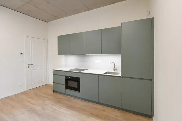 Pronájem bytu 3+kk, Praha - Nusle, Boleslavova, 58 m2