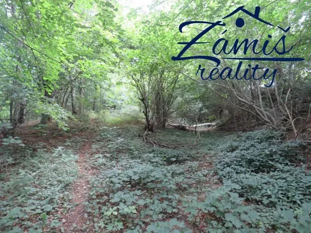 Prodej podílu lesa, Pohledy, 7200 m2