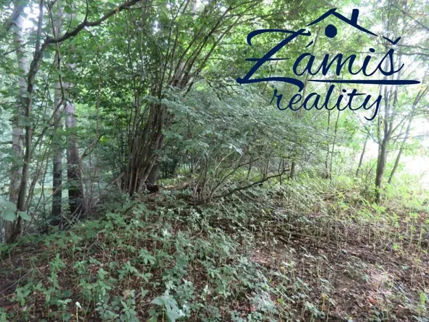 Prodej podílu lesa, Pohledy, 7200 m2