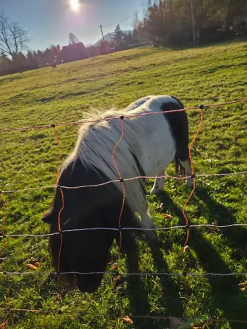 Prodej rodinného domu, Frenštát pod Radhoštěm, Planiska, 110 m2