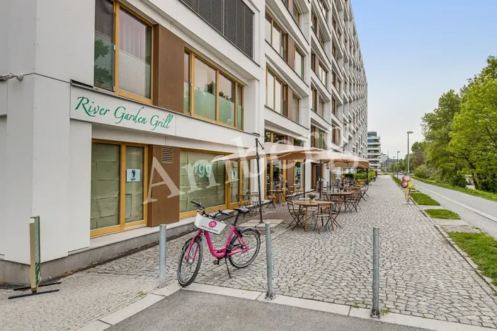 Pronájem bytu 1+kk, Praha - Karlín, U Mlýnského kanálu, 37 m2