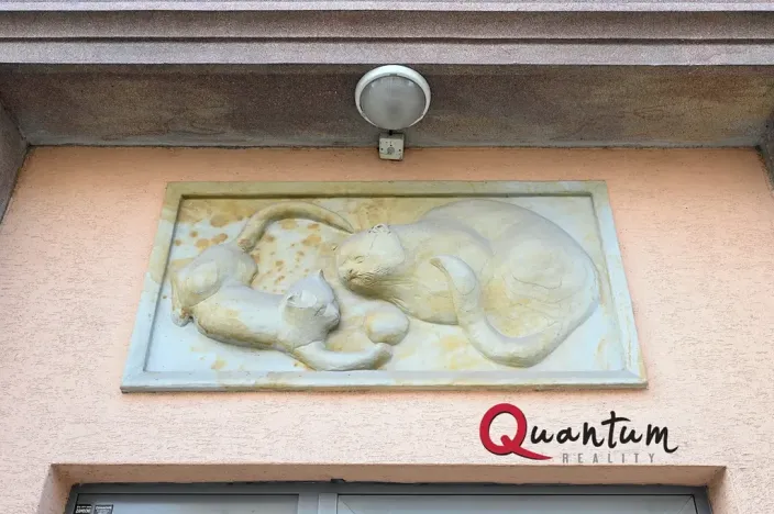 Pronájem bytu 2+1, Praha - Strašnice, Tehovská, 51 m2