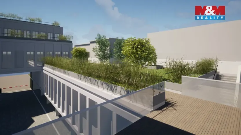 Pronájem obchodního prostoru, Opava, Masarykova třída, 25 m2