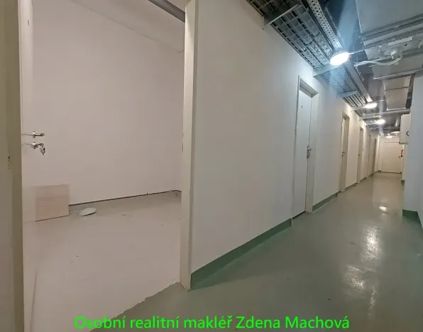 Pronájem bytu 1+kk, Praha - Žižkov, 38 m2