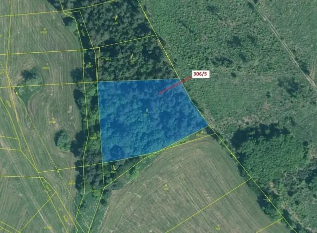 Dražba lesa, Záhoří, 4906 m2