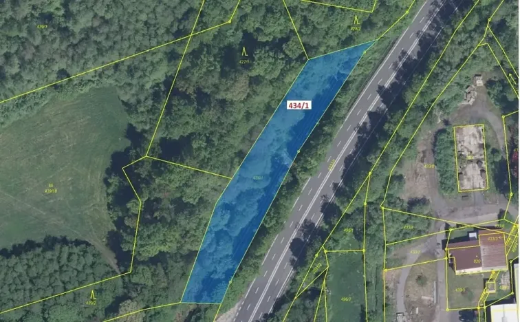 Dražba lesa, Metylovice, 2788 m2