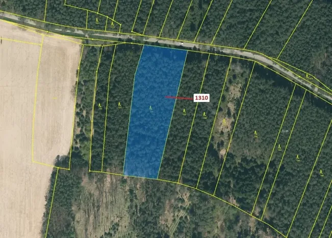 Dražba lesa, Skalice, 7441 m2