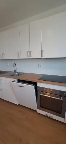 Pronájem bytu 1+1, Brno, Srbská, 35 m2