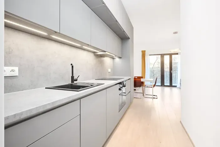 Prodej bytu 1+kk, Praha - Žižkov, Hartigova, 45 m2