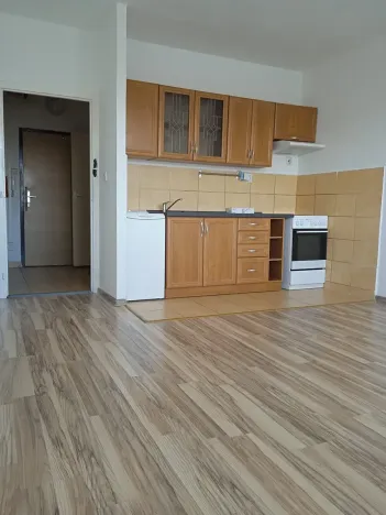 Pronájem bytu 1+kk, Havířov, Letní, 30 m2