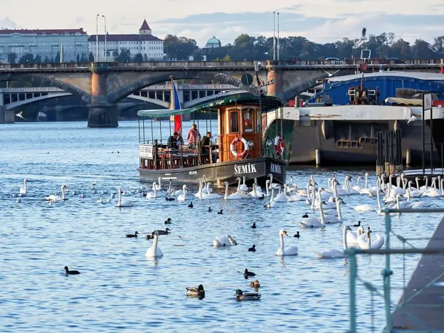 Prodej bytu 4+kk, Praha - Nusle, Bělehradská, 131 m2