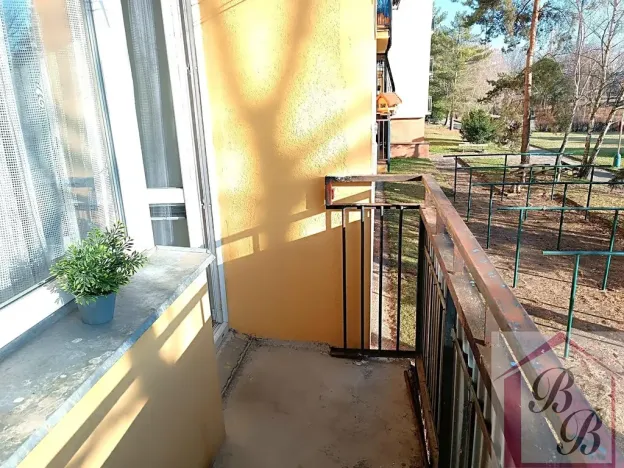 Prodej bytu 2+1, Mladá Boleslav, Jana Palacha, 63 m2