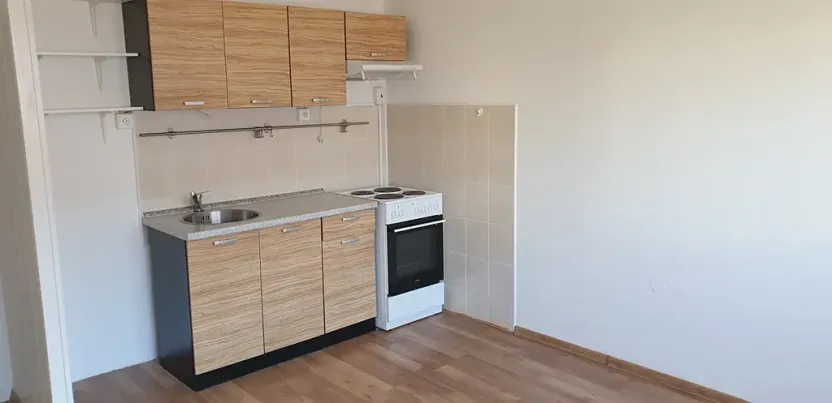 Pronájem bytu 1+1, Teplice, Javorová, 45 m2