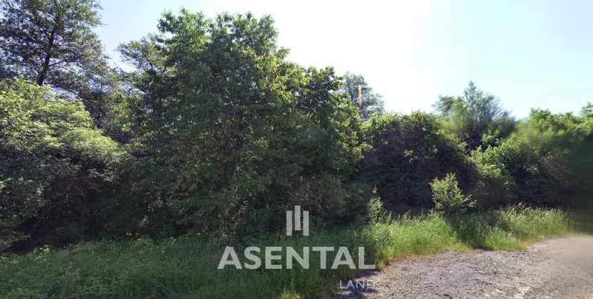 Prodej komerčního pozemku, Karviná - Lázně Darkov, Svornosti, 19552 m2