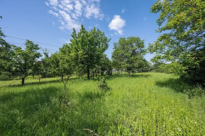 Pronájem zahrady, Brno, Zelná, 3109 m2