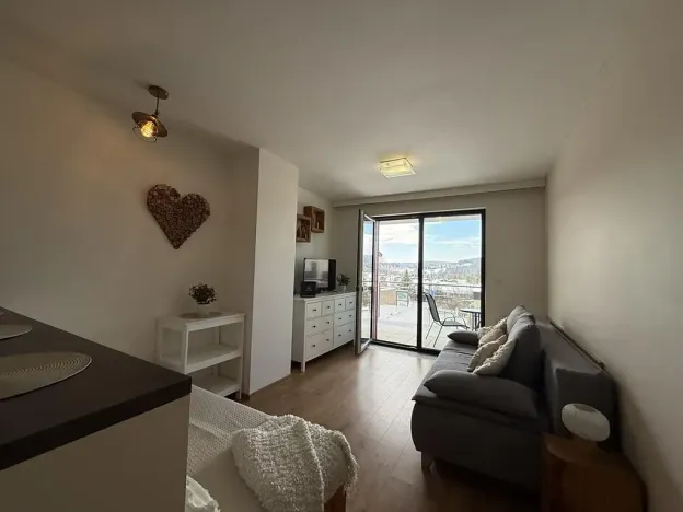 Prodej bytu 1+kk, Lipno nad Vltavou, 30 m2