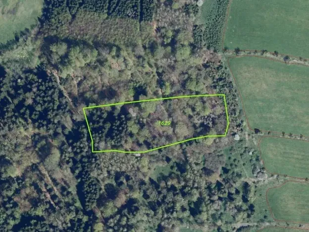 Dražba louky, Petrovice, 14239 m2